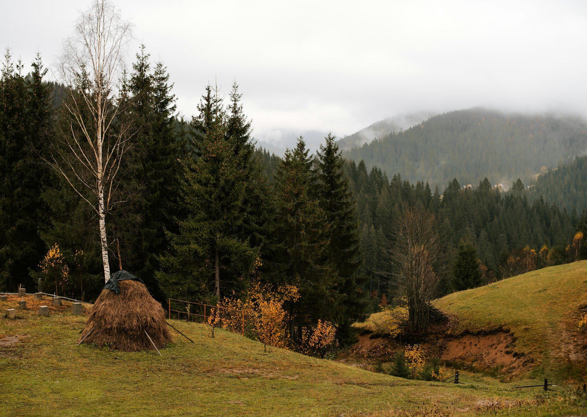 Colori autunnali in Transilvania - Foto U+